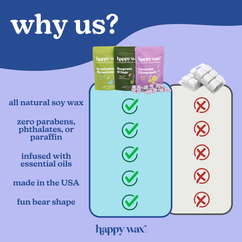 هابي واكس مجموعة Happy Wax الصيفية التي لا نهاية لها تذوب شمع الصويا الطبيعي المعطر - إجمالي 6 أونصة. مجموعة ذوبان الشمع المعطرة تتضمن المد الساحلي لجوز الهند البرونزي وبينا كولادا - Image 4
